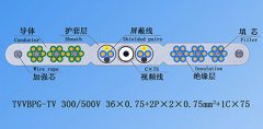 扁平絞合型排列帶屏蔽、鋼芯和視頻線電梯電纜